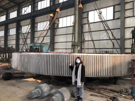 Diametri dente cilindrico Ring Gear Rotary Kiln Gear Ring For Ball Mill di 16000mm - di 100mm